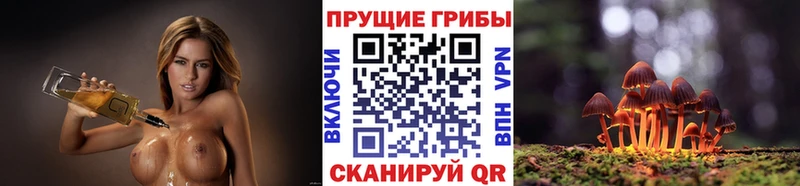 ссылка на мегу как зайти  Энгельс  нарко площадка состав  Псилоцибиновые грибы Magic Shrooms 
