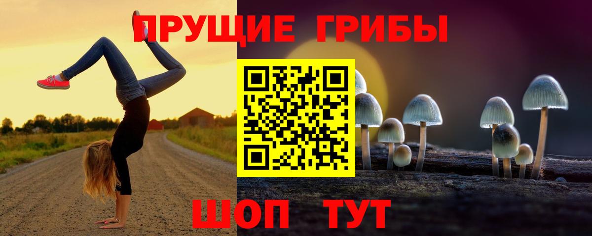 что такое   Галлюциногенные грибы Cubensis  Галлюциногенные грибы Psilocybine cubensis  Вход с VPN  Энгельс 